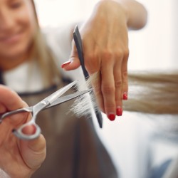 Women's Haircut